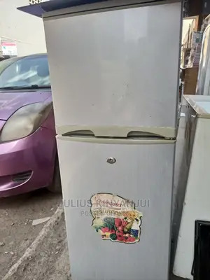 Mini Fridge Double Door