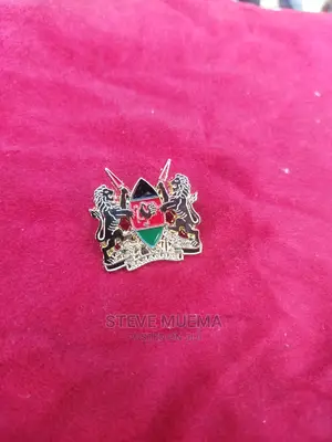 Coat of Arms Lapel Pin