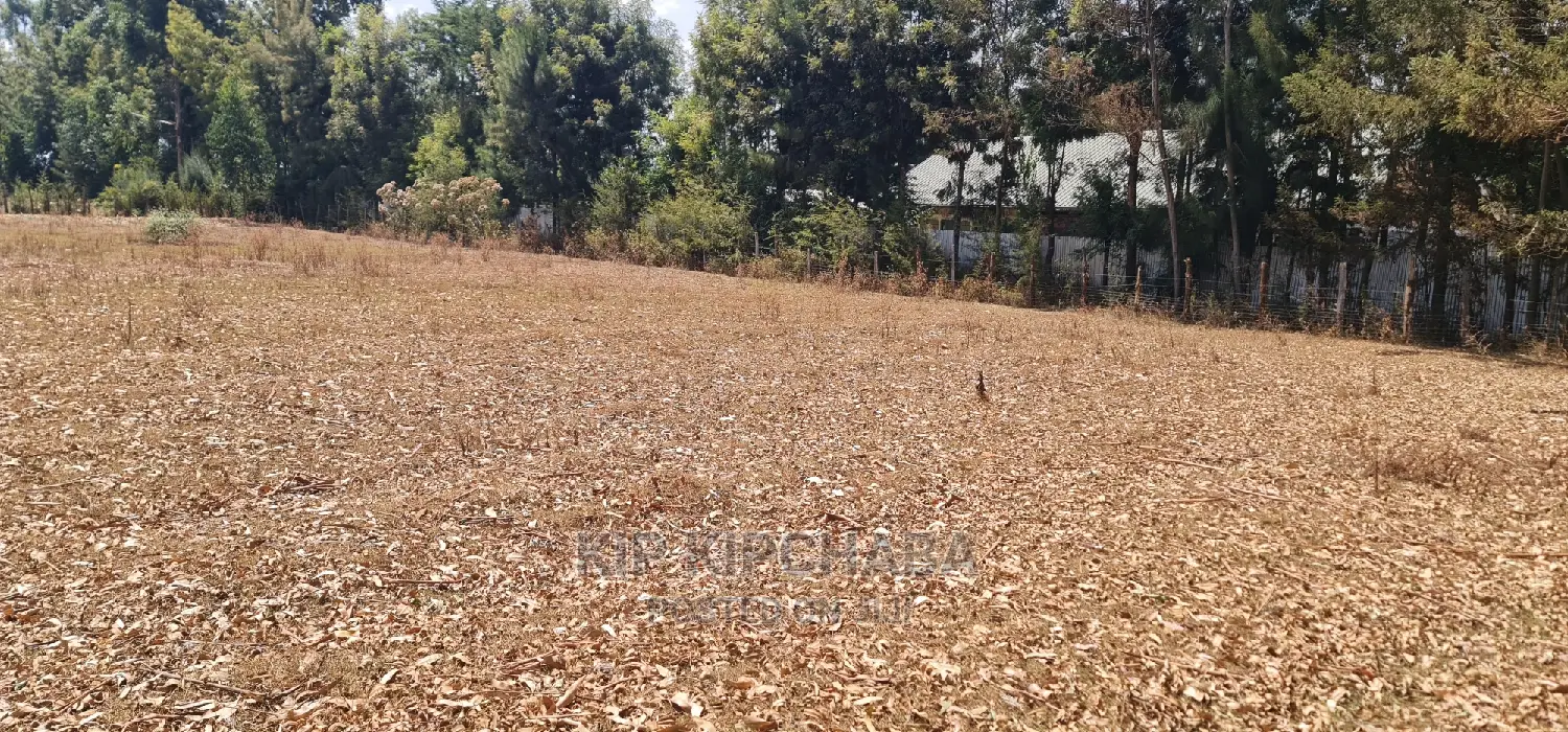 Cheap 1⁄4 Plot for Sale in Annex Royalton in Eldoret