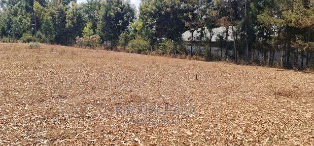 Cheap 1⁄4 Plot for Sale in Annex Royalton in Eldoret