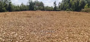 Cheap 1⁄4 Plot for Sale in Annex Royalton in Eldoret