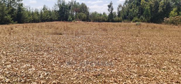 Cheap 1⁄4 Plot for Sale in Annex Royalton in Eldoret - thumbnail 3