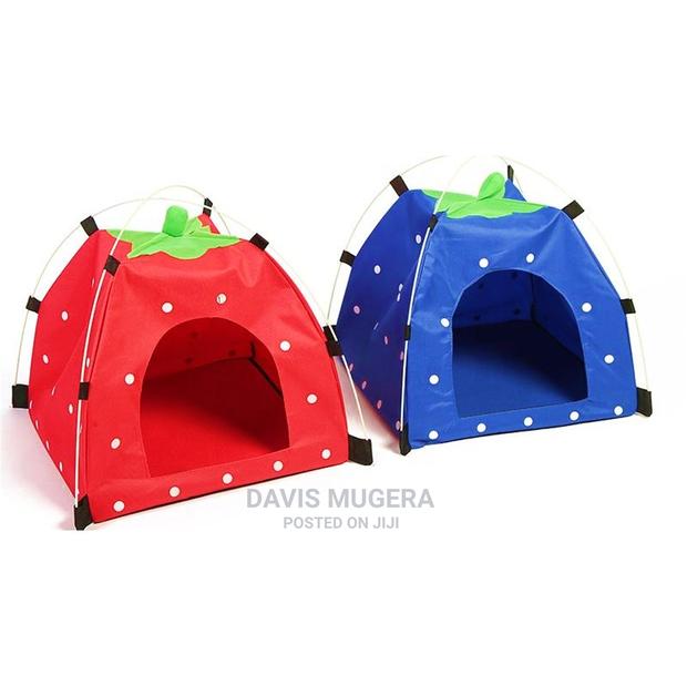 Cat Tent Waterproof 47x47x45cm - main view