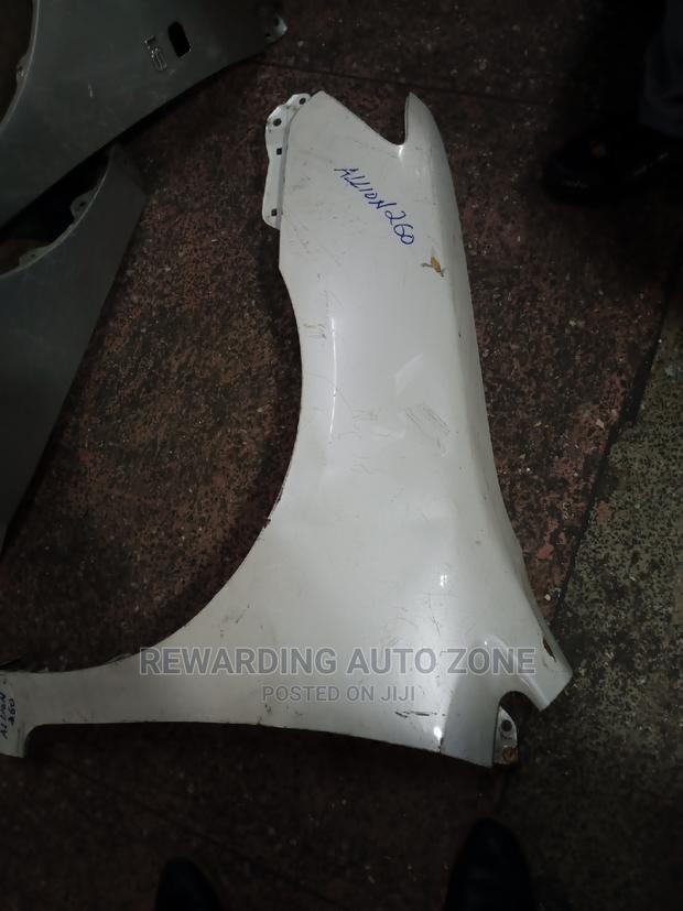 Allion 260 Wing(Fender) Lhs