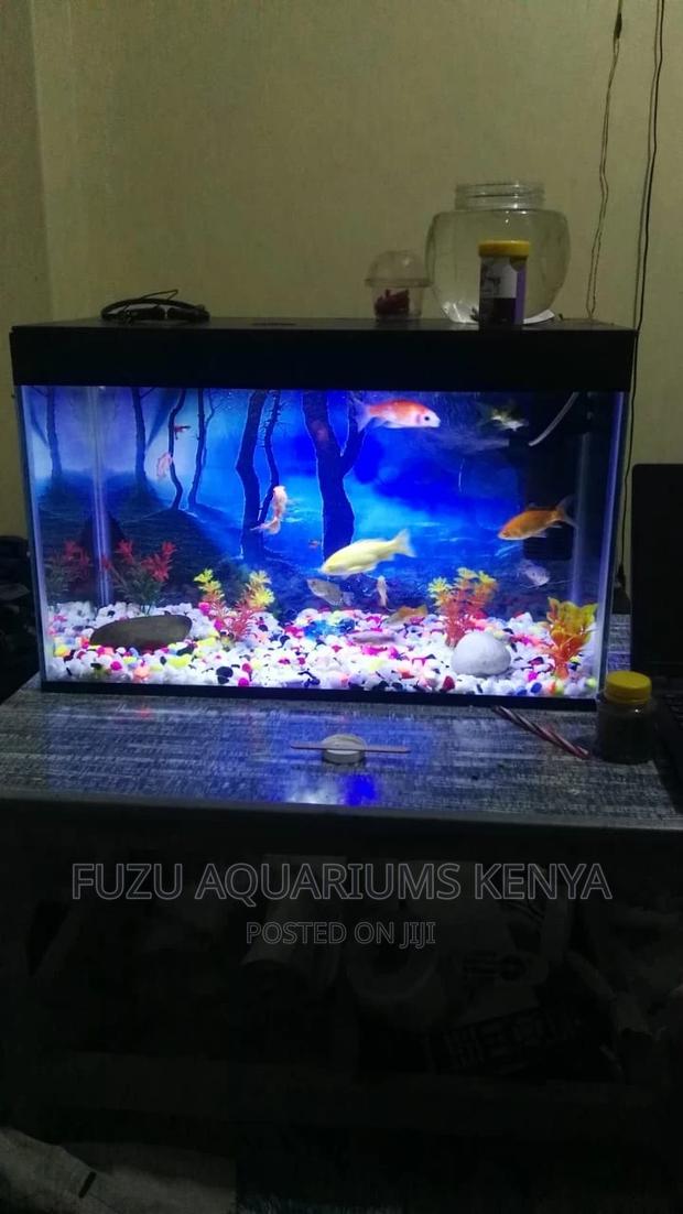 Aquarium for Home