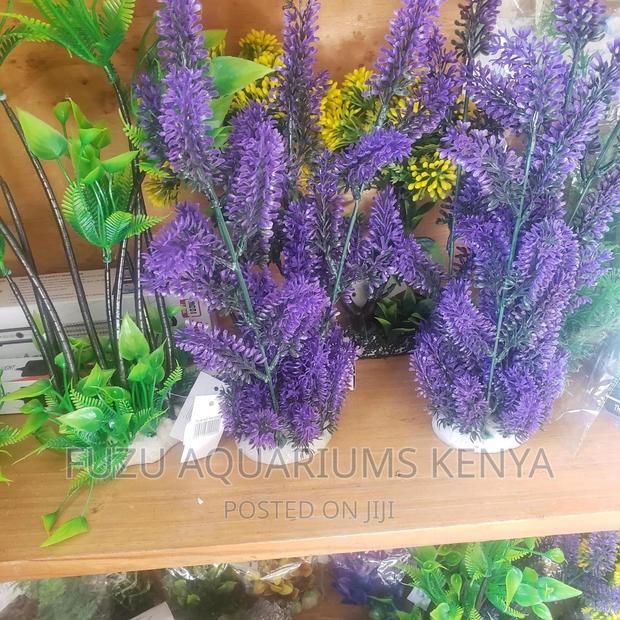Big Aquarium Plants - main view