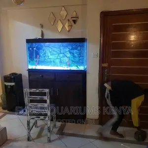 Classy Aquarium