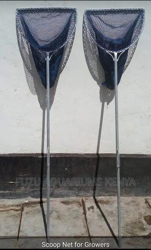 Scoop Net Fish - thumbnail 2