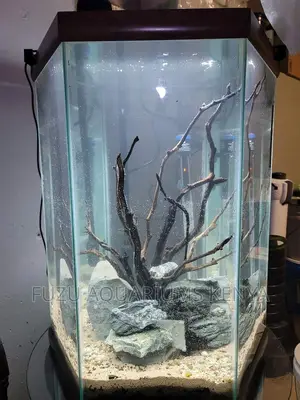 Hexagon Aquarium .
