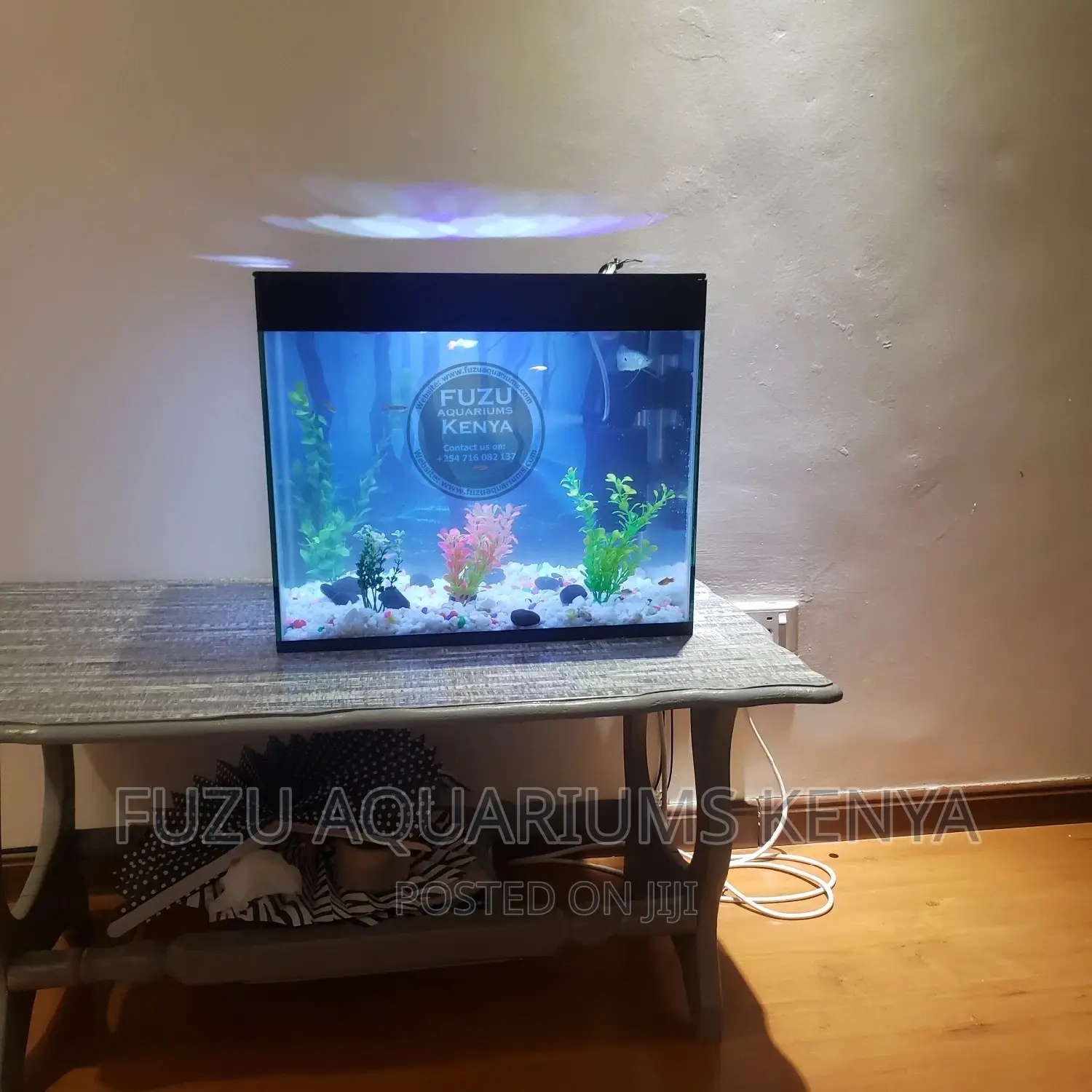 Aquarium With 10fish