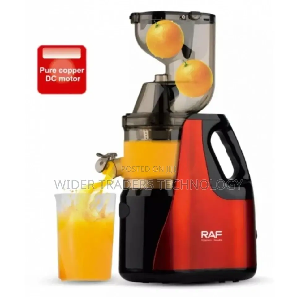 Rebune Vegetables Fruits Slow Juicer