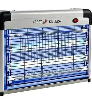 Best Insect Killer