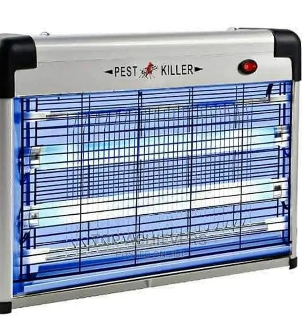 Best Insect Killer