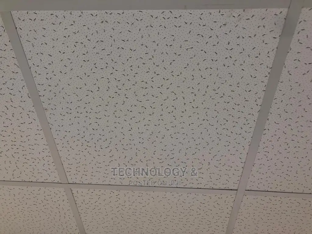 Armstrong Acoustic Ceiling