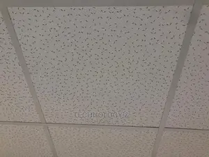 Armstrong Acoustic Ceiling