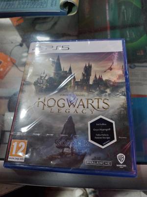 Ps5 Hogwarts Legacy Video Game - main view