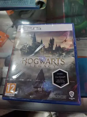 Ps5 Hogwarts Legacy Video Game