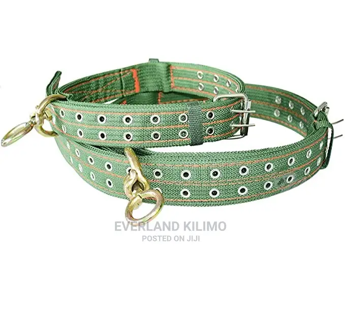 Canvas Dog Collar- Heavy Duty