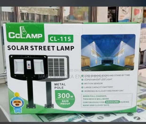 Solar Street Lamp - main view