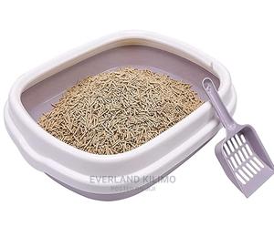 Cat Litter Box With High Sides - main view