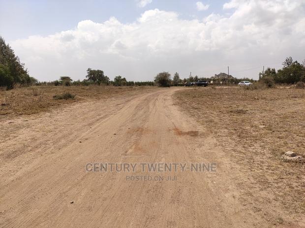 Sharon’S Sabaki Land - thumbnail 2