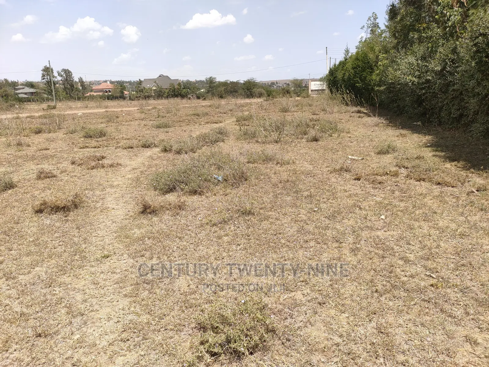 Sharon’S Sabaki Land