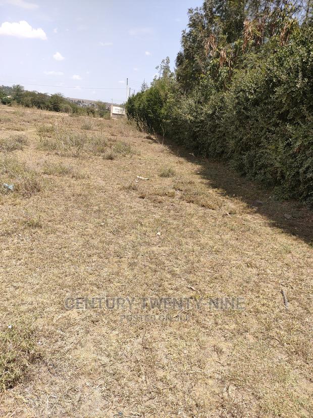 Sharon’S Sabaki Land - main view