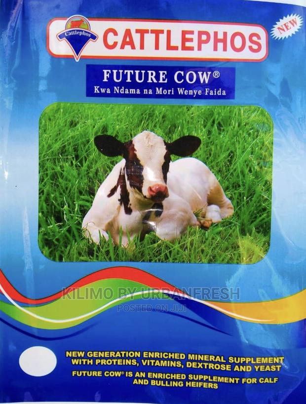 Calves Booster 20kg.