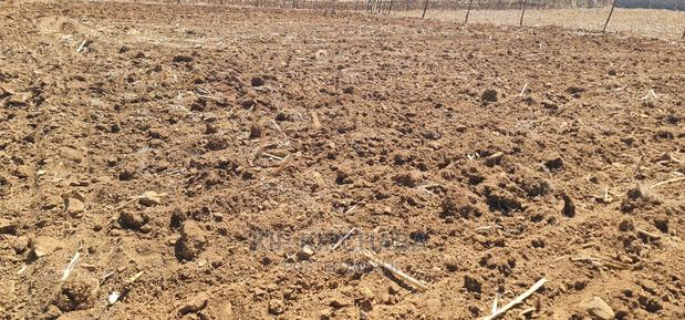 1⁄4 Plot for Sale in Before Kipkorgot Eldore - thumbnail 3