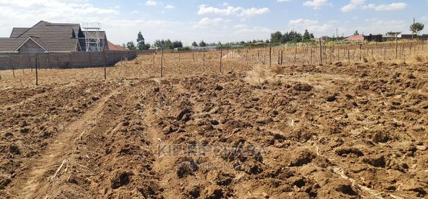 1⁄4 Plot for Sale in Before Kipkorgot Eldore - thumbnail 4