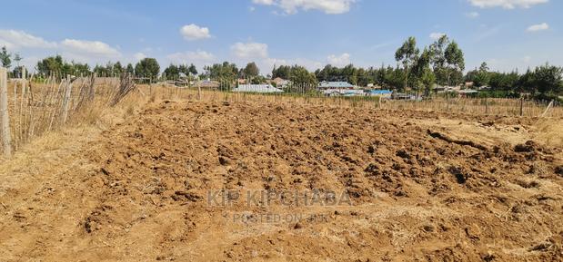 1⁄4 Plot for Sale in Before Kipkorgot Eldore - thumbnail 7