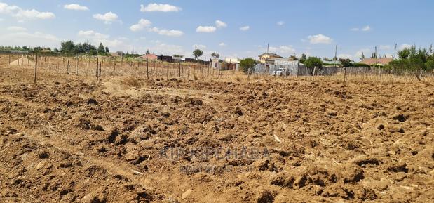 1⁄4 Plot for Sale in Before Kipkorgot Eldore - thumbnail 5