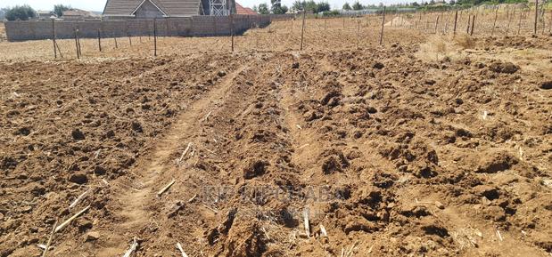 1⁄4 Plot for Sale in Before Kipkorgot Eldore - thumbnail 9