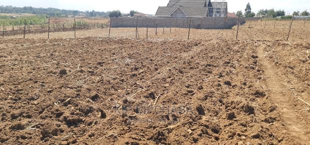 1⁄4 Plot for Sale in Before Kipkorgot Eldore - thumbnail 6