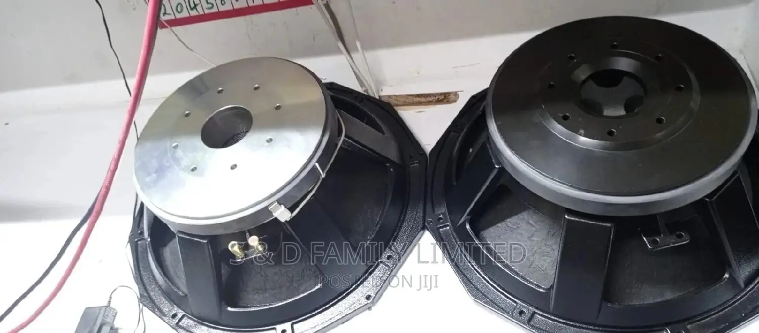 PD 18 Naked Speaker