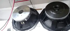 PD 18 Naked Speaker