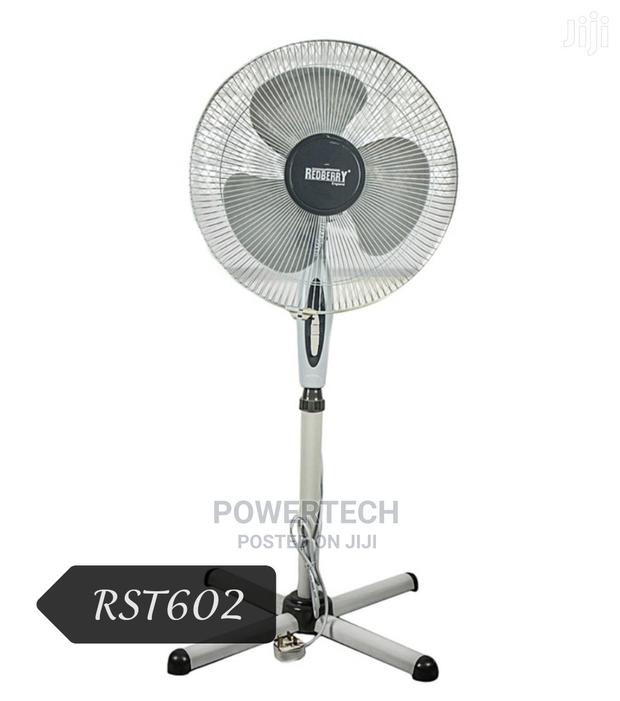 Redberry Standing Fan √ - main view