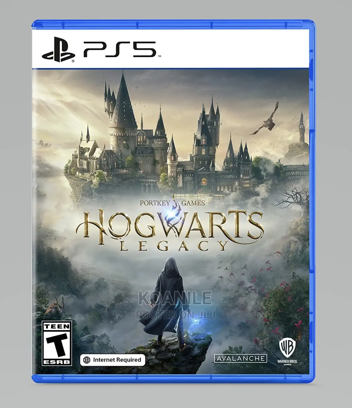 PS5 Hogwarts Legacy