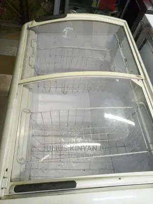Deep Freezer 300l