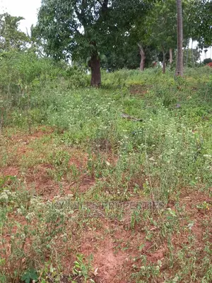 6 Acre Land on Sale in Bomani(Kikambala)