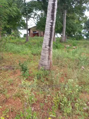6 Acre Land on Sale in Bomani(Kikambala)