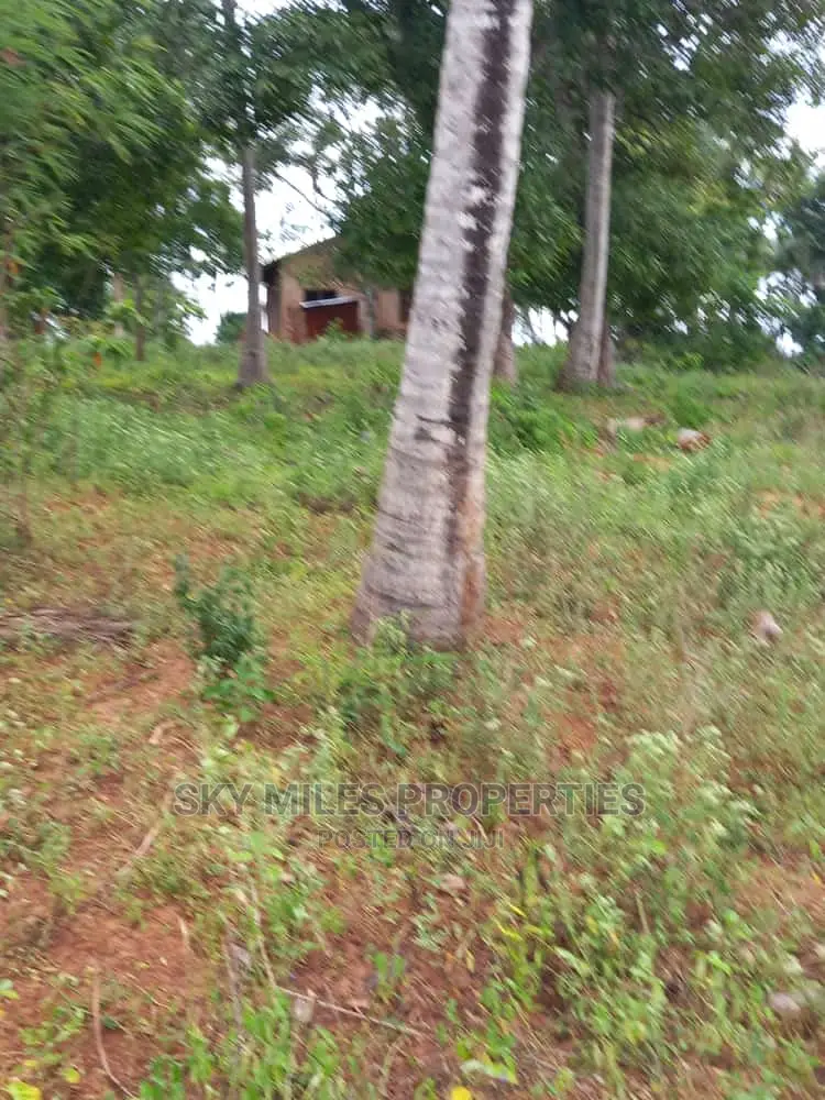 6 Acre Land on Sale in Bomani(Kikambala)