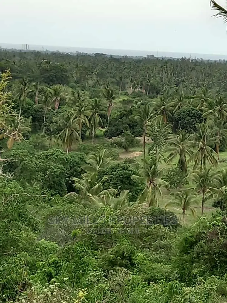 6 Acre Land on Sale in Bomani(Kikambala)