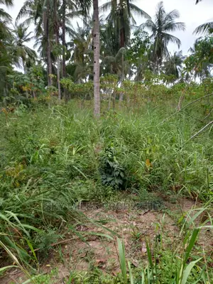 6 Acre Land on Sale in Bomani(Kikambala)