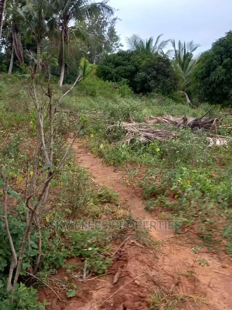 6 Acre Land on Sale in Bomani(Kikambala)