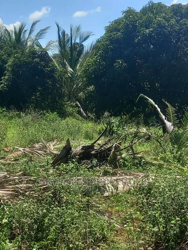 6 Acre Land on Sale in Bomani(Kikambala)