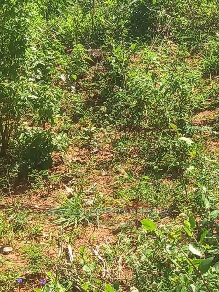 6 Acre Land on Sale in Bomani(Kikambala)