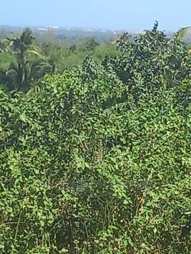 6 Acre Land on Sale in Bomani(Kikambala)