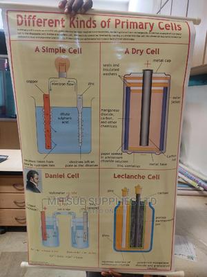 Different Types of Primary Cell Chart ( 43 by 28 Inches) - thumbnail 2