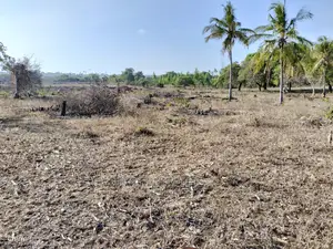 Mvindeni 12 Acres Prime Property